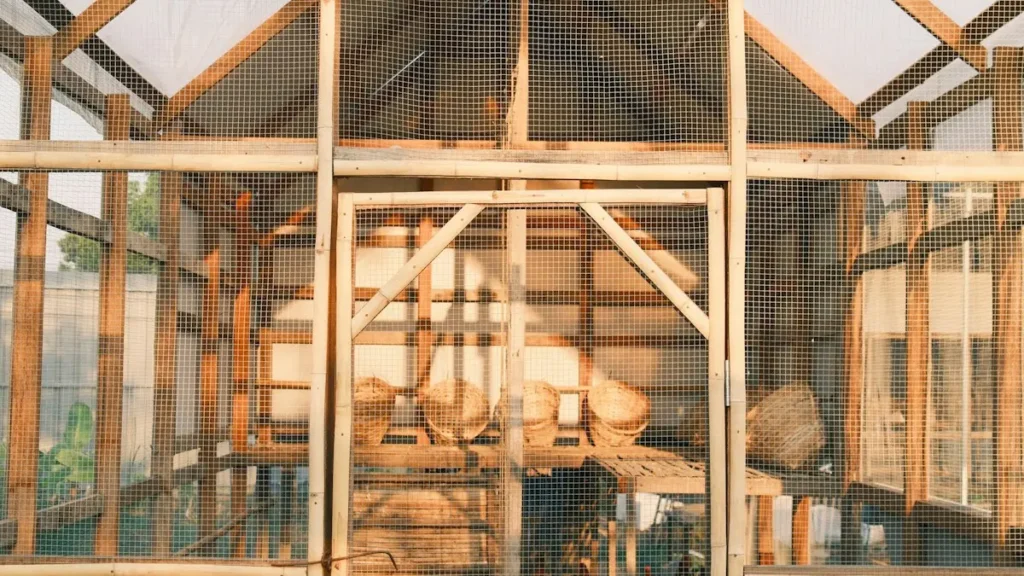 Gallinas dentro de un gallinero de madera