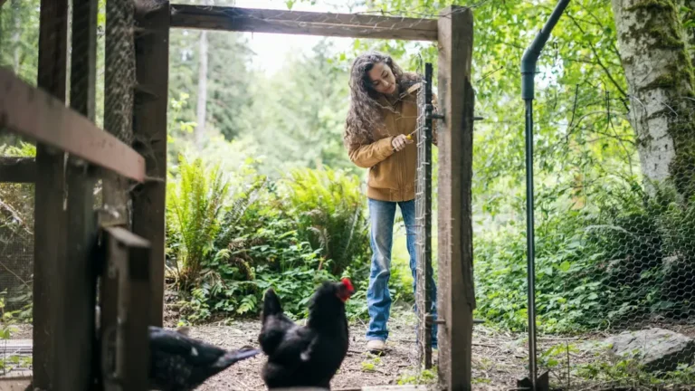 Niña abriendo la puerta de un gallinero